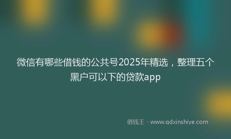 微信有哪些借钱的公共号2025年精选，整理五个黑户可以下的贷款app