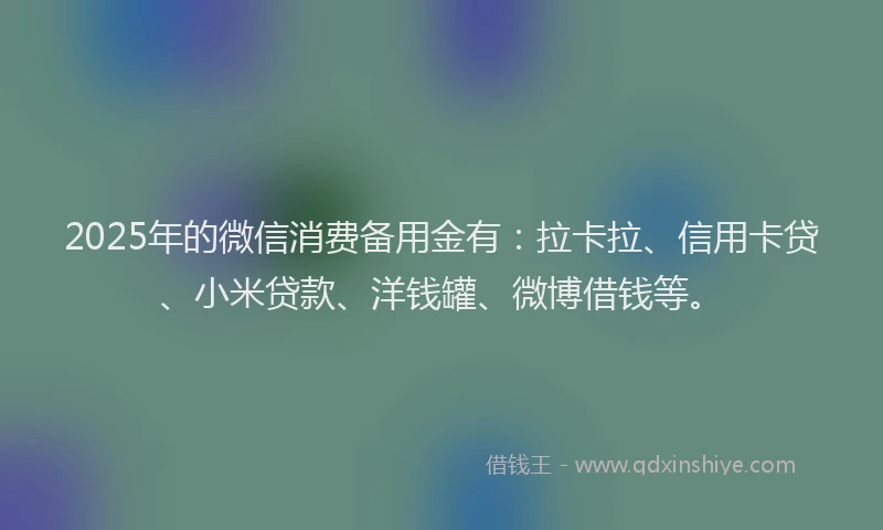 2025年的微信消费备用金有：拉卡拉、信用卡贷、小米贷款、洋钱罐、微博借钱等。
