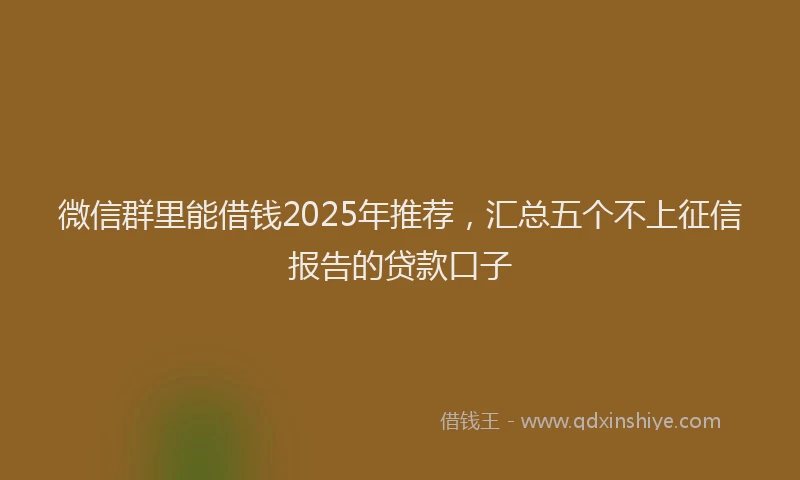 微信群里能借钱2025年推荐，汇总五个不上征信报告的贷款口子