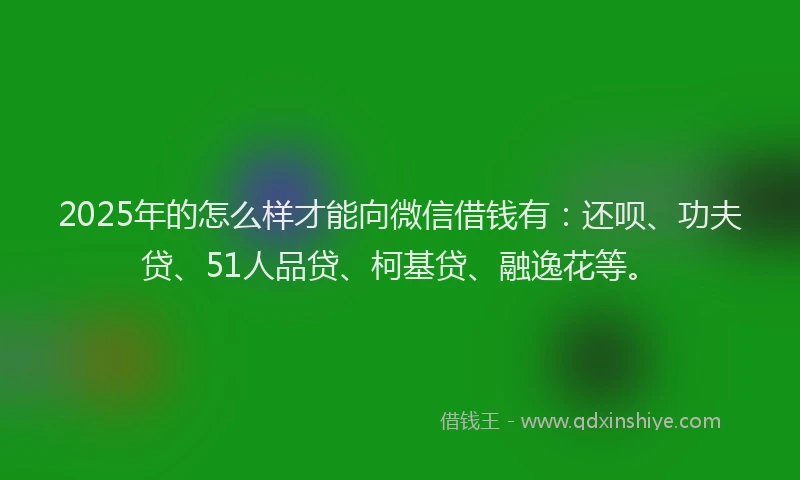 2025年的怎么样才能向微信借钱有：还呗、功夫贷、51人品贷、柯基贷、融逸花等。