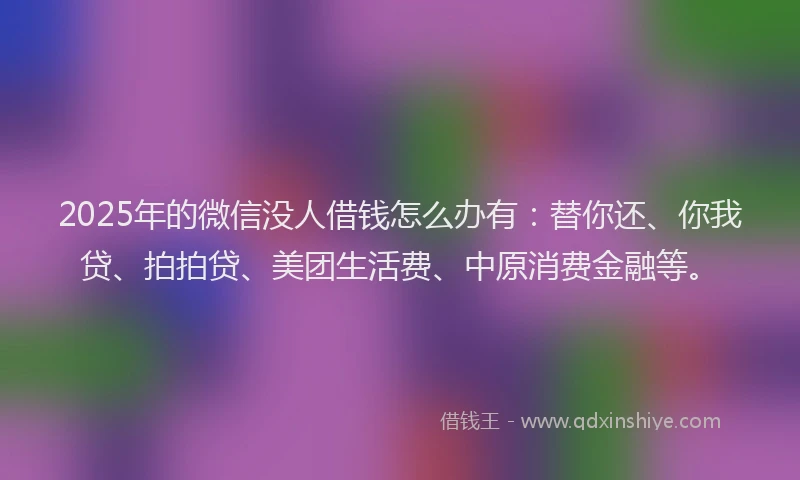 2025年的微信没人借钱怎么办有：替你还、你我贷、拍拍贷、美团生活费、中原消费金融等。