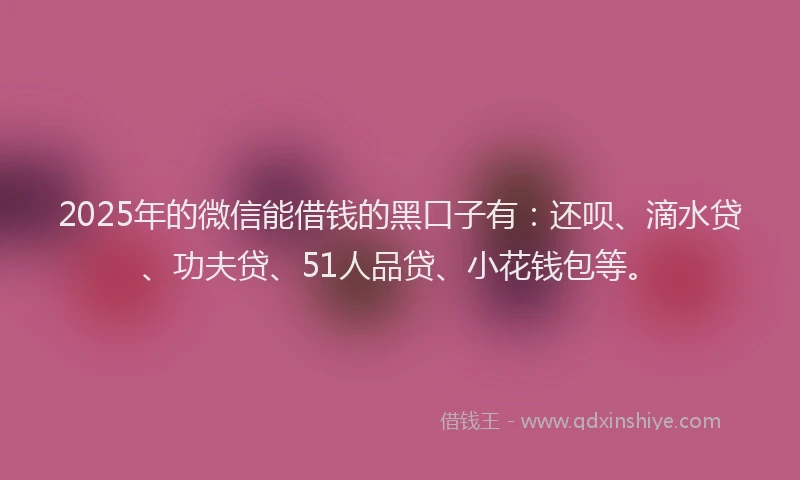 2025年的微信能借钱的黑口子有：还呗、滴水贷、功夫贷、51人品贷、小花钱包等。