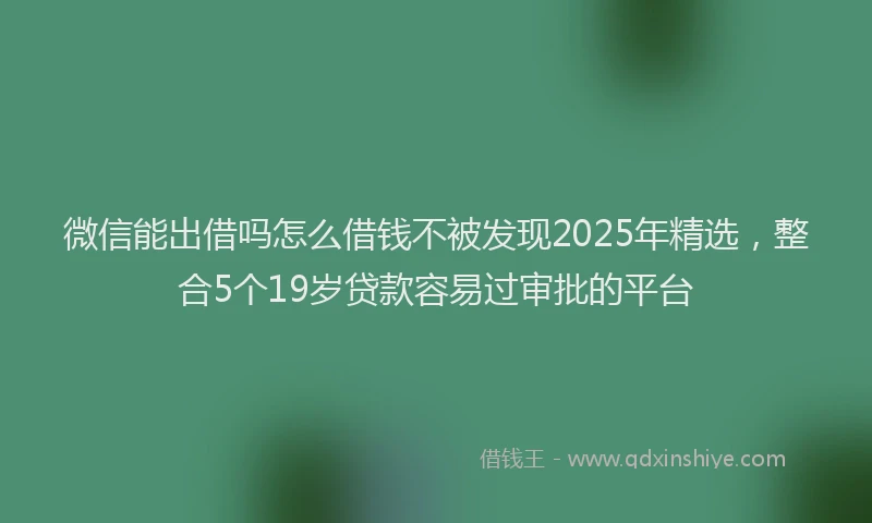 微信能出借吗怎么借钱不被发现2025年精选，整合5个19岁贷款容易过审批的平台