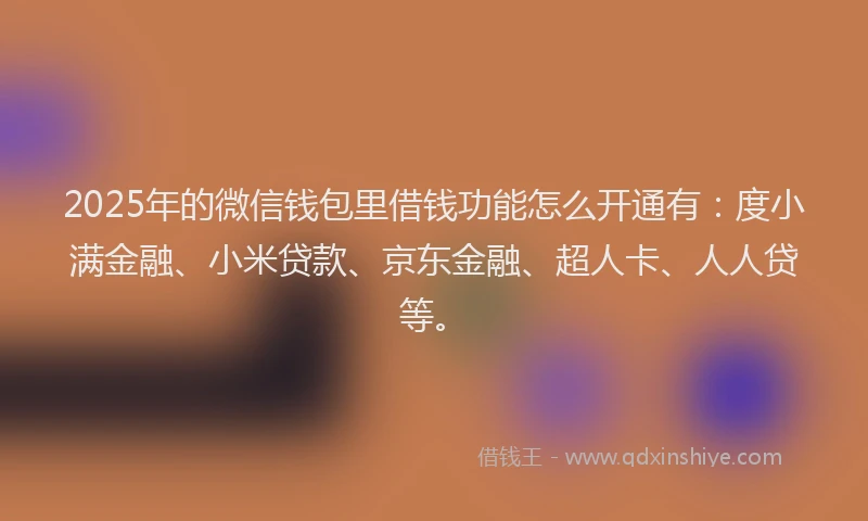 2025年的微信钱包里借钱功能怎么开通有：度小满金融、小米贷款、京东金融、超人卡、人人贷等。