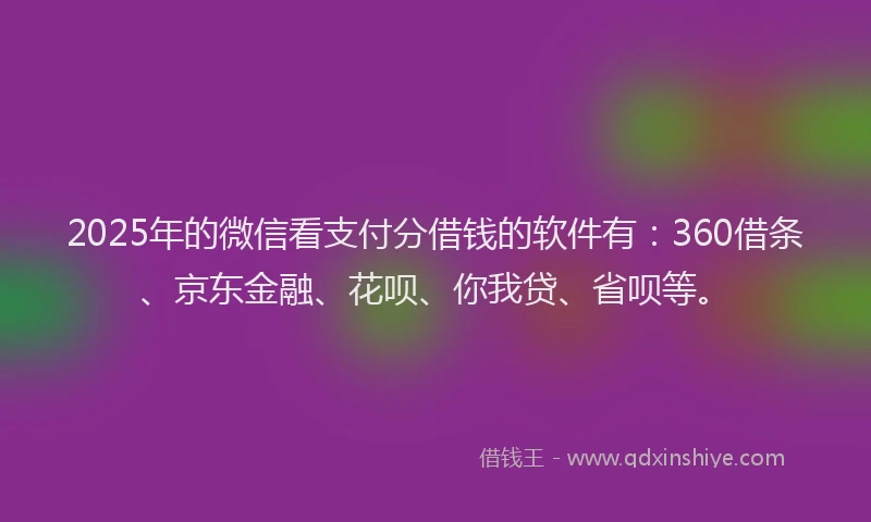 2025年的微信看支付分借钱的软件有：360借条、京东金融、花呗、你我贷、省呗等。