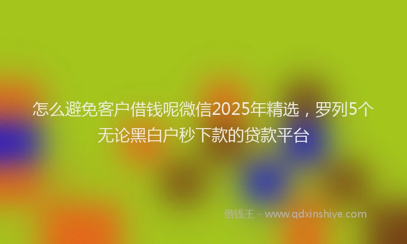 怎么避免客户借钱呢微信2025年精选，罗列5个无论黑白户秒下款的贷款平台