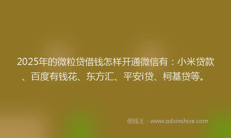 2025年的微粒贷借钱怎样开通微信有：小米贷款、百度有钱花、东方汇、平安i贷、柯基贷等。