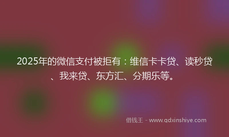 2025年的微信支付被拒有：维信卡卡贷、读秒贷、我来贷、东方汇、分期乐等。