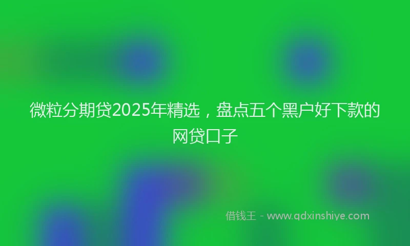 微粒分期贷2025年精选，盘点五个黑户好下款的网贷口子