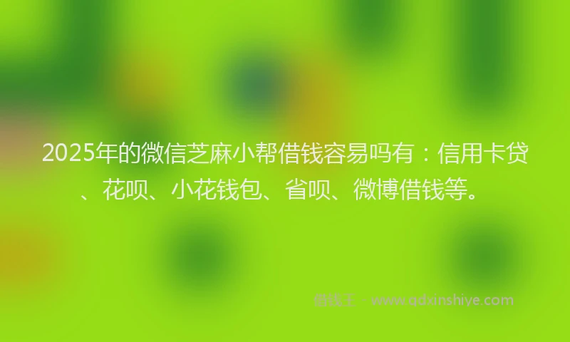 2025年的微信芝麻小帮借钱容易吗有：信用卡贷、花呗、小花钱包、省呗、微博借钱等。