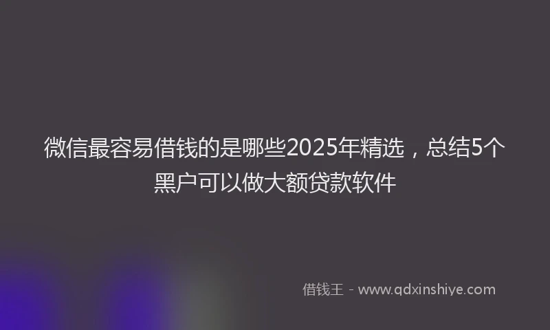 微信最容易借钱的是哪些2025年精选，总结5个黑户可以做大额贷款软件