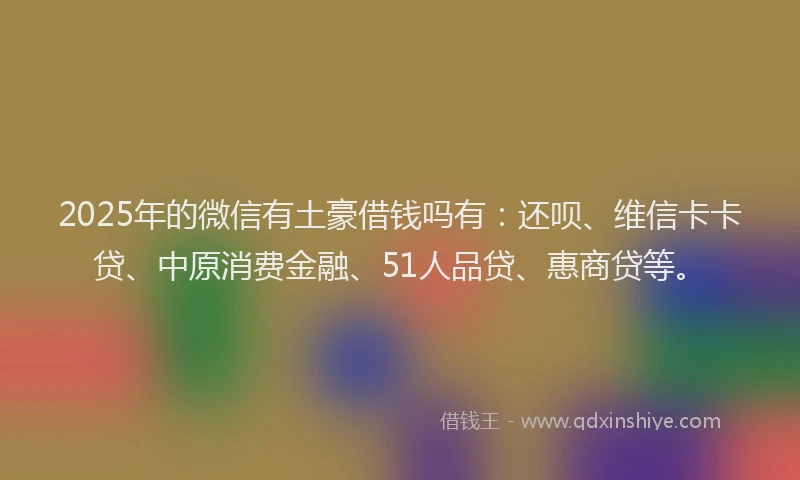 2025年的微信有土豪借钱吗有：还呗、维信卡卡贷、中原消费金融、51人品贷、惠商贷等。
