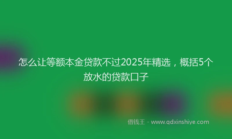 怎么让等额本金贷款不过2025年精选，概括5个放水的贷款口子
