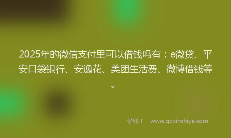 2025年的微信支付里可以借钱吗有：e微贷、平安口袋银行、安逸花、美团生活费、微博借钱等。