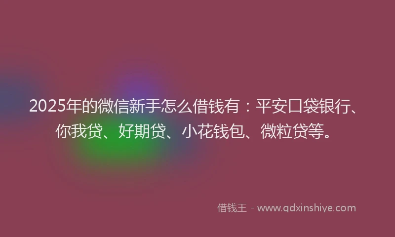 2025年的微信新手怎么借钱有：平安口袋银行、你我贷、好期贷、小花钱包、微粒贷等。