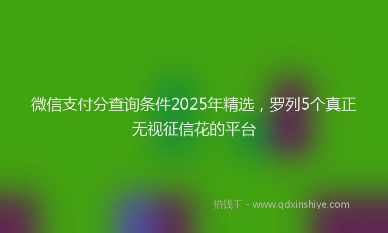 微信支付分查询条件2025年精选，罗列5个真正无视征信花的平台