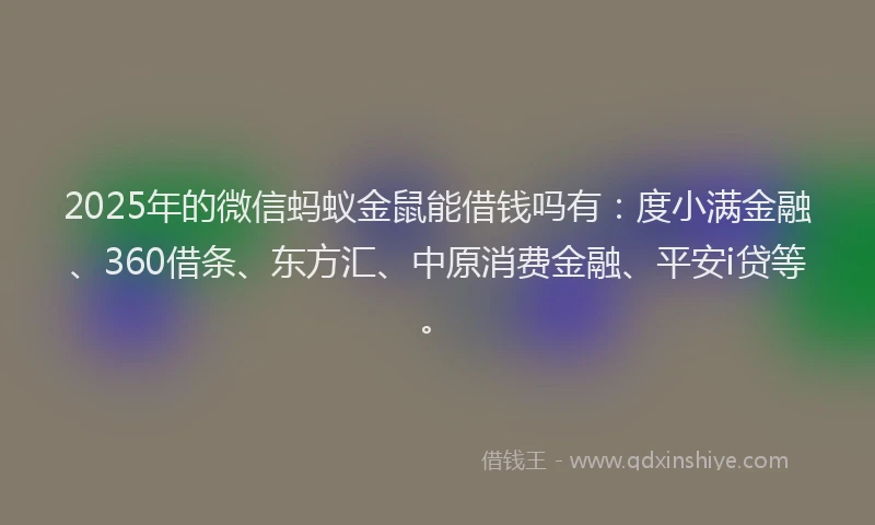2025年的微信蚂蚁金鼠能借钱吗有：度小满金融、360借条、东方汇、中原消费金融、平安i贷等。