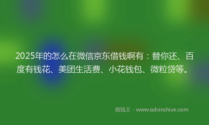 2025年的怎么在微信京东借钱啊有：替你还、百度有钱花、美团生活费、小花钱包、微粒贷等。
