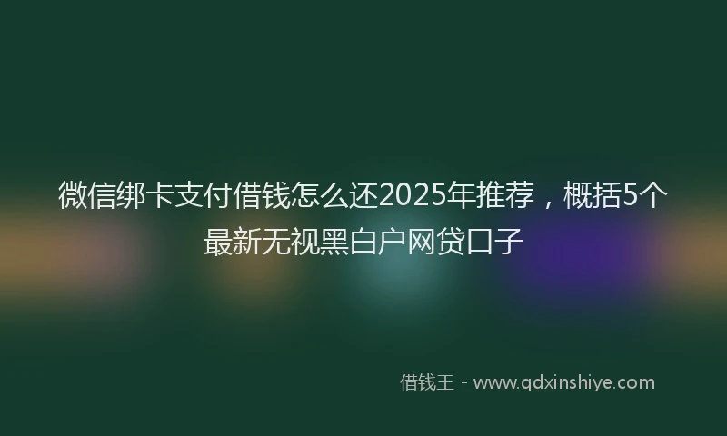 微信绑卡支付借钱怎么还2025年推荐，概括5个最新无视黑白户网贷口子