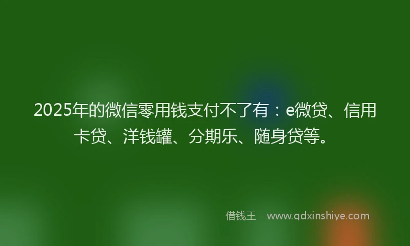 2025年的微信零用钱支付不了有：e微贷、信用卡贷、洋钱罐、分期乐、随身贷等。