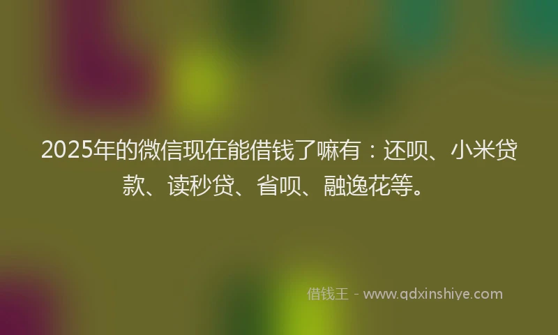 2025年的微信现在能借钱了嘛有：还呗、小米贷款、读秒贷、省呗、融逸花等。