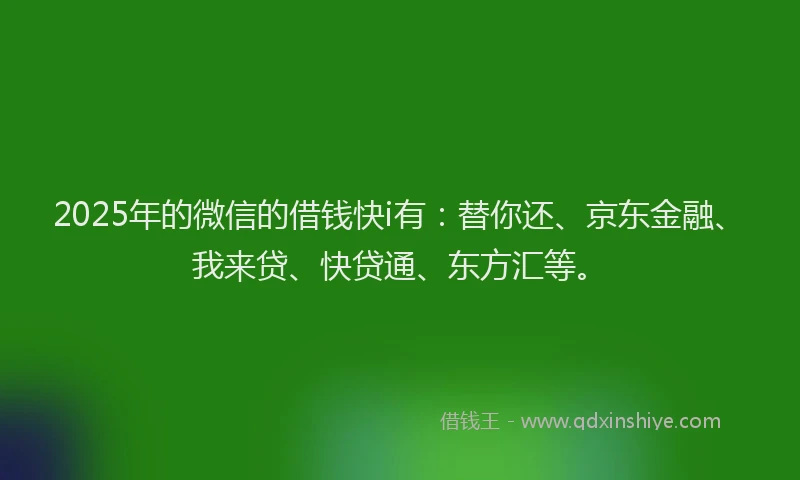 2025年的微信的借钱快i有：替你还、京东金融、我来贷、快贷通、东方汇等。