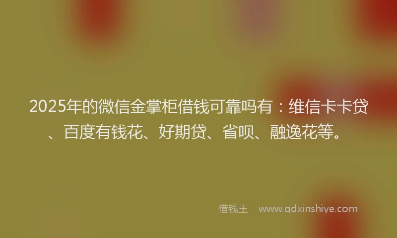 2025年的微信金掌柜借钱可靠吗有：维信卡卡贷、百度有钱花、好期贷、省呗、融逸花等。