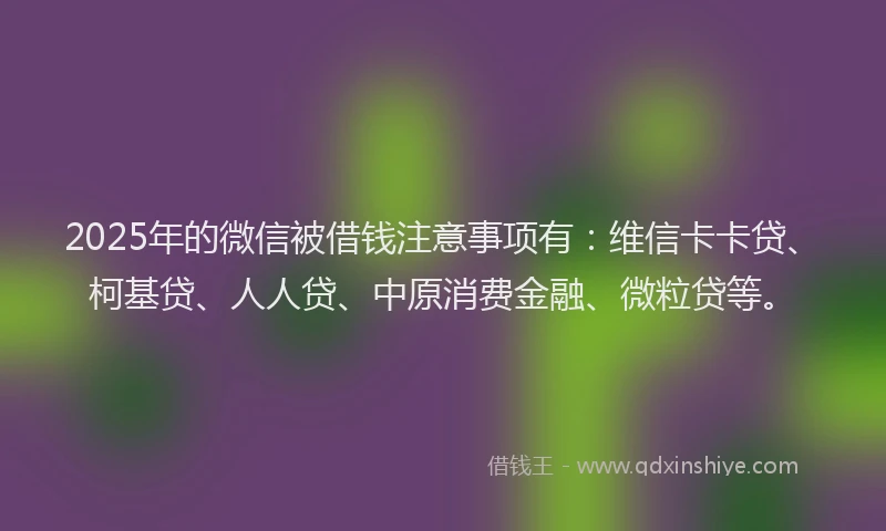 2025年的微信被借钱注意事项有：维信卡卡贷、柯基贷、人人贷、中原消费金融、微粒贷等。