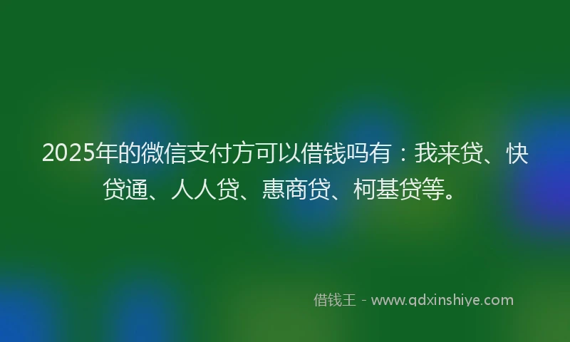 2025年的微信支付方可以借钱吗有：我来贷、快贷通、人人贷、惠商贷、柯基贷等。