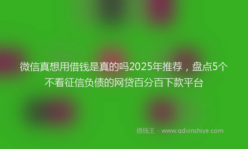 微信真想用借钱是真的吗2025年推荐，盘点5个不看征信负债的网贷百分百下款平台