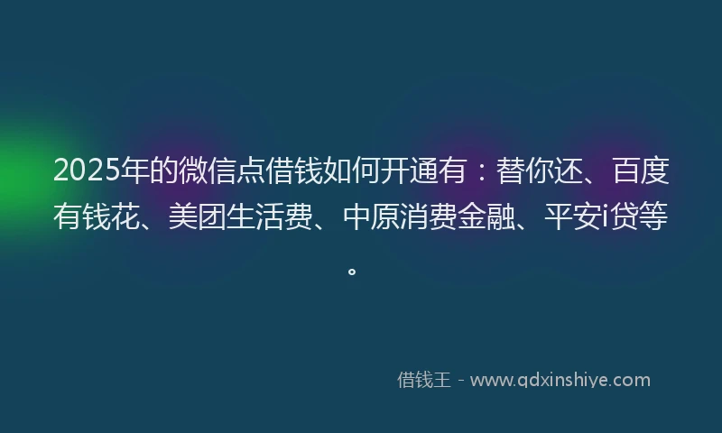 2025年的微信点借钱如何开通有：替你还、百度有钱花、美团生活费、中原消费金融、平安i贷等。