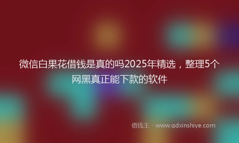 微信白果花借钱是真的吗2025年精选，整理5个网黑真正能下款的软件
