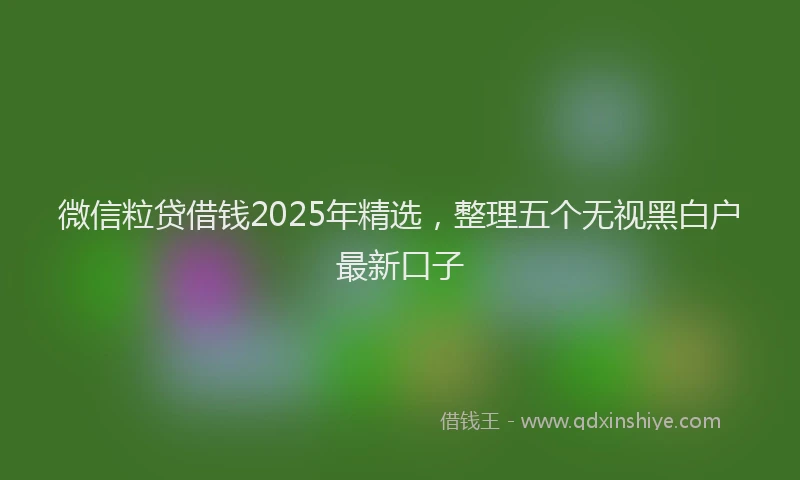 微信粒贷借钱2025年精选，整理五个无视黑白户最新口子