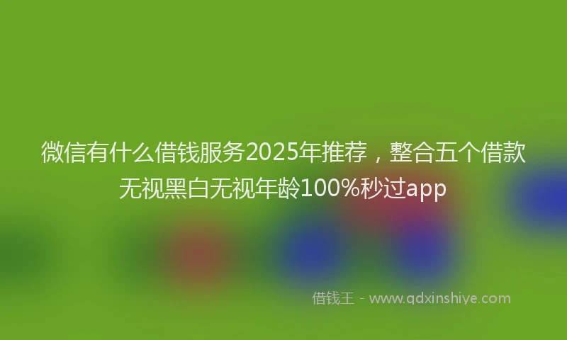 微信有什么借钱服务2025年推荐，整合五个借款无视黑白无视年龄100%秒过app