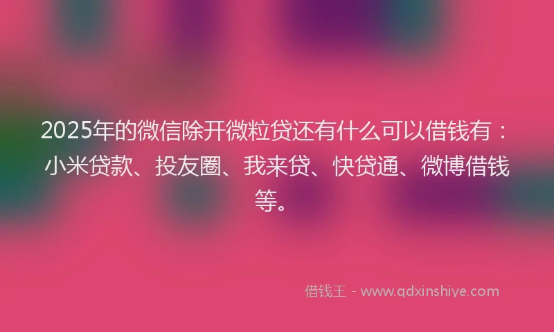 2025年的微信除开微粒贷还有什么可以借钱有：小米贷款、投友圈、我来贷、快贷通、微博借钱等。