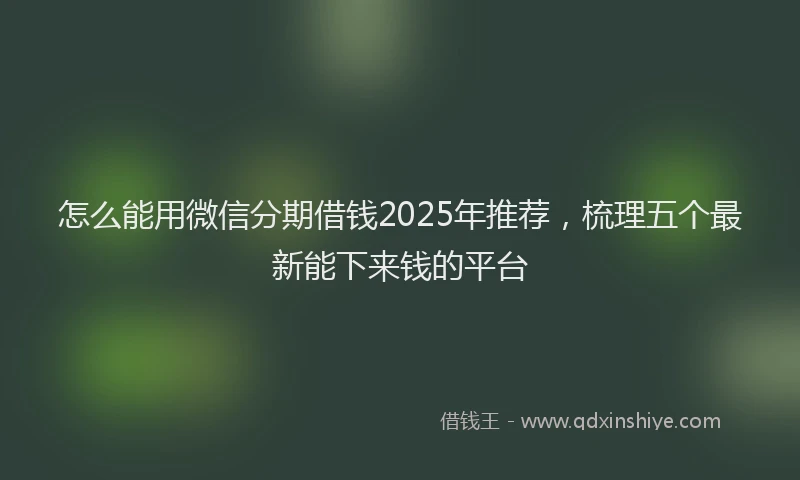 怎么能用微信分期借钱2025年推荐，梳理五个最新能下来钱的平台