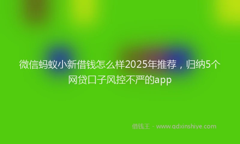 微信蚂蚁小新借钱怎么样2025年推荐，归纳5个网贷口子风控不严的app
