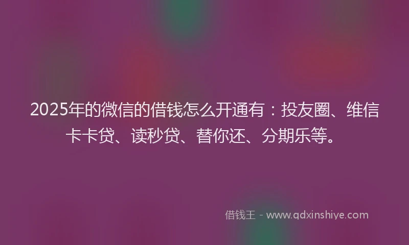 2025年的微信的借钱怎么开通有：投友圈、维信卡卡贷、读秒贷、替你还、分期乐等。