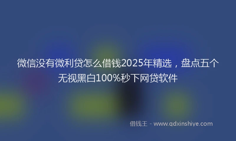 微信没有微利贷怎么借钱2025年精选，盘点五个无视黑白100%秒下网贷软件