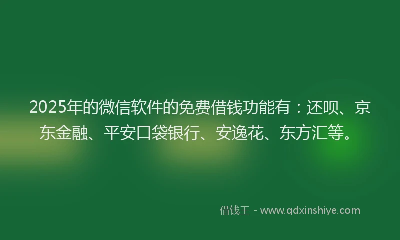 2025年的微信软件的免费借钱功能有：还呗、京东金融、平安口袋银行、安逸花、东方汇等。
