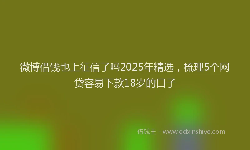 微博借钱也上征信了吗2025年精选，梳理5个网贷容易下款18岁的口子