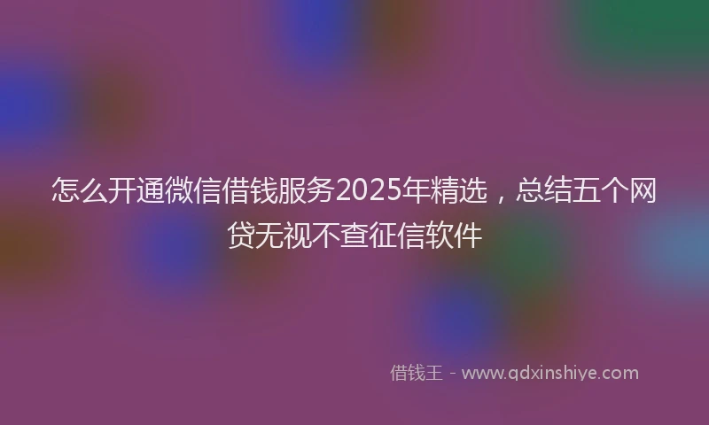 怎么开通微信借钱服务2025年精选，总结五个网贷无视不查征信软件