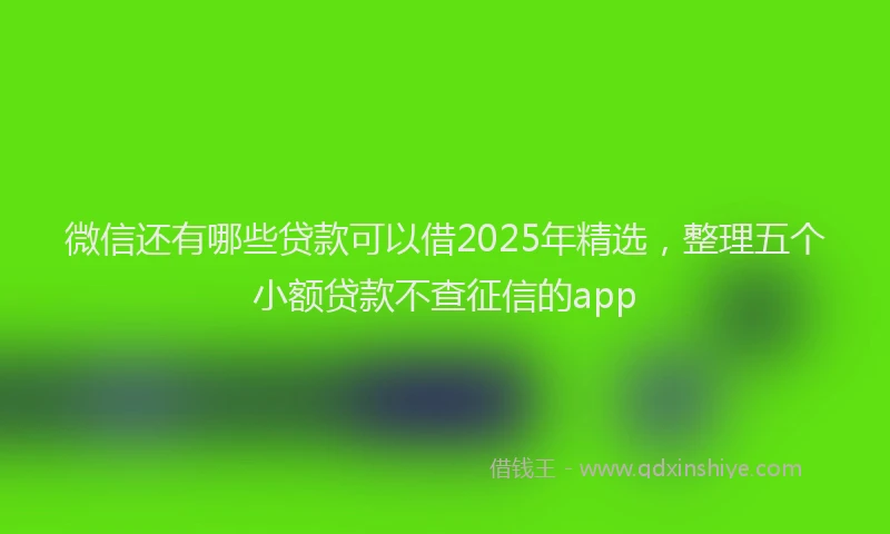 微信还有哪些贷款可以借2025年精选，整理五个小额贷款不查征信的app