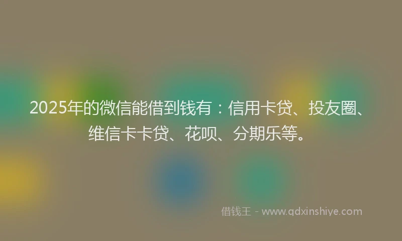 2025年的微信能借到钱有：信用卡贷、投友圈、维信卡卡贷、花呗、分期乐等。