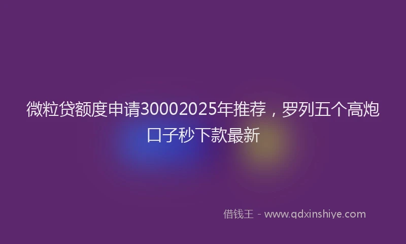 微粒贷额度申请30002025年推荐，罗列五个高炮口子秒下款最新