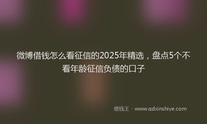 微博借钱怎么看征信的2025年精选，盘点5个不看年龄征信负债的口子