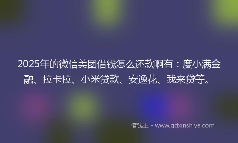 2025年的微信美团借钱怎么还款啊有：度小满金融、拉卡拉、小米贷款、安逸花、我来贷等。