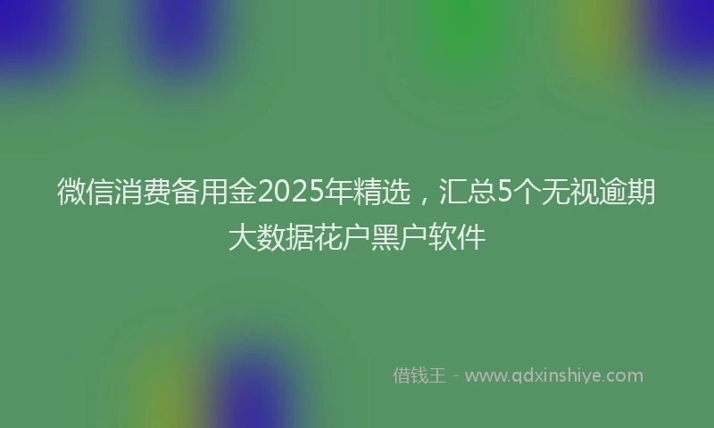 微信消费备用金2025年精选，汇总5个无视逾期大数据花户黑户软件