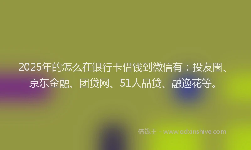 2025年的怎么在银行卡借钱到微信有：投友圈、京东金融、团贷网、51人品贷、融逸花等。