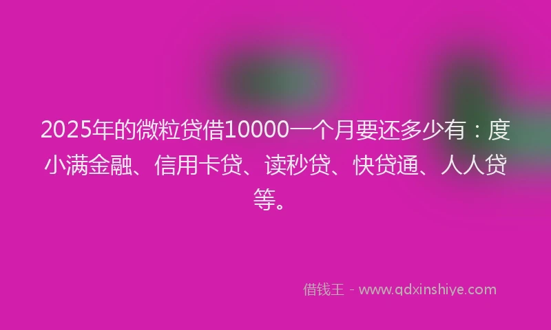 2025年的微粒贷借10000一个月要还多少有：度小满金融、信用卡贷、读秒贷、快贷通、人人贷等。